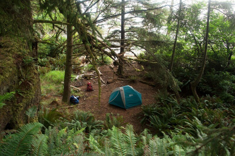 a blue tent sitting in the middle of a forest